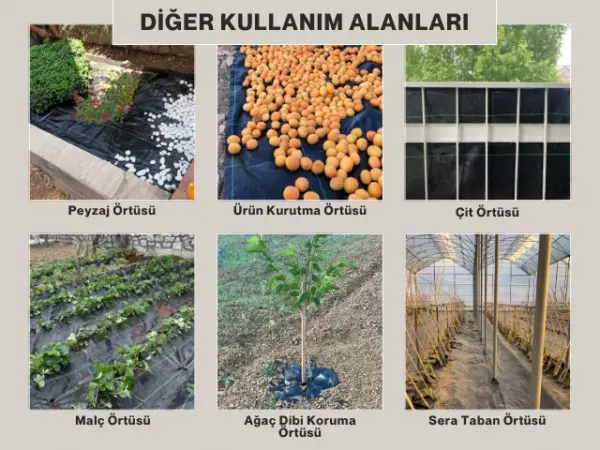 Yabani Ot ve Sera Taban Örtüsü - Siyah - Görsel 8