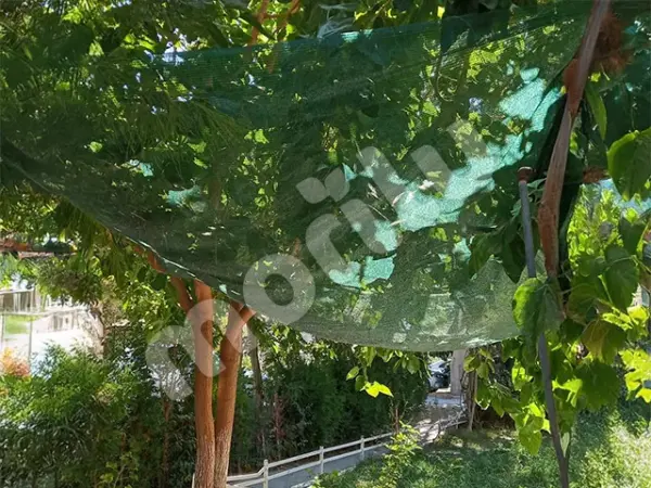 Dut Toplama Filesi - Yeşil - Görsel 3