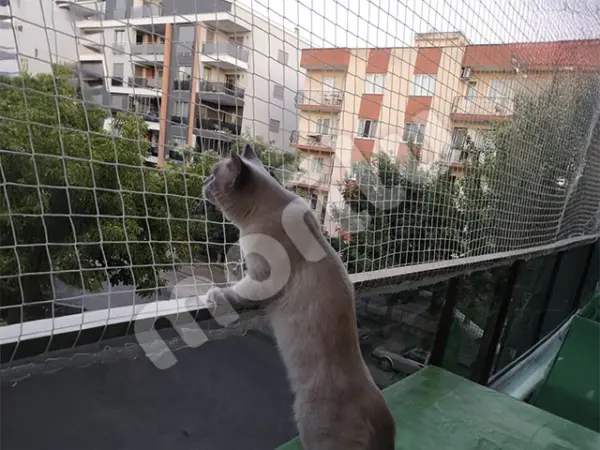 kedi_filesi_4cm_gozenekli_3.webp
