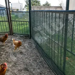 Kümes ve Bahçe Çevirme Çit Örtüsü - 40lık - Yeşil