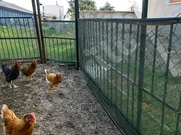 Kümes ve Bahçe Çevirme Çit Örtüsü - 40lık - Yeşil