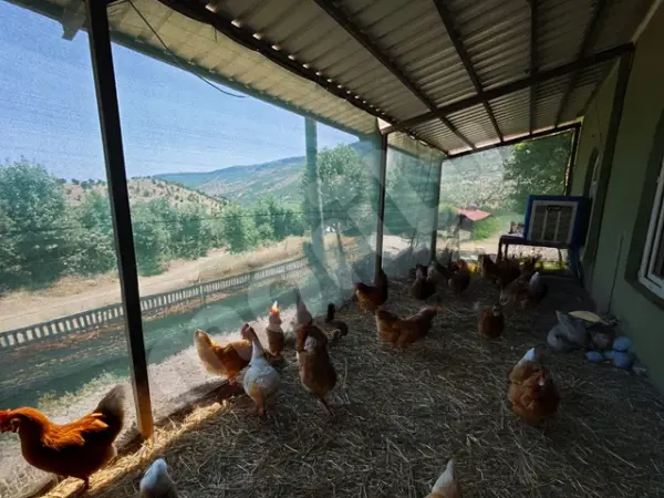 Kümes ve Bahçe Çevirme Çit Örtüsü - 40lık - Yeşil - Görsel 3