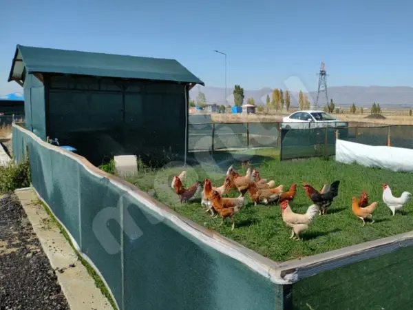 Kümes ve Bahçe Çevirme Çit Örtüsü - 95lik 140 gram/m2 - Yeşil - Görsel 2
