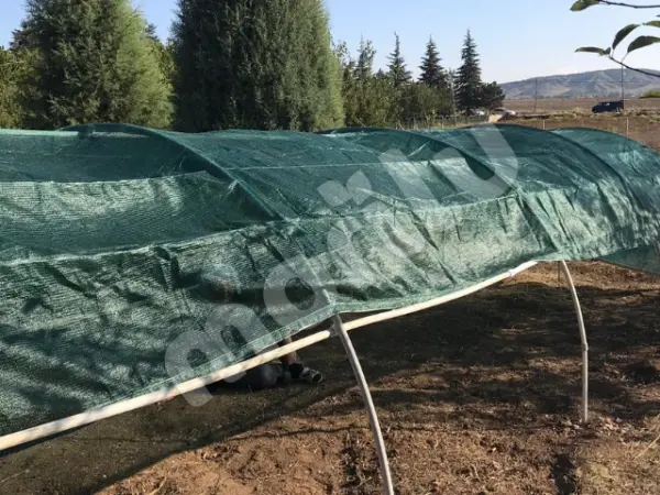 Sera - Bitki ve Hayvan Gölgeliği - 95lik 120 gram/m2 - Yeşil - Görsel 5