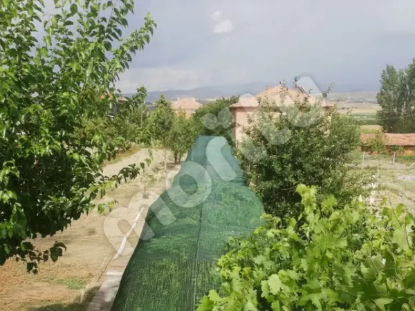 Sera - Bitki ve Hayvan Gölgeliği - 40lık Gölgeleme - Yeşil - Görsel 5