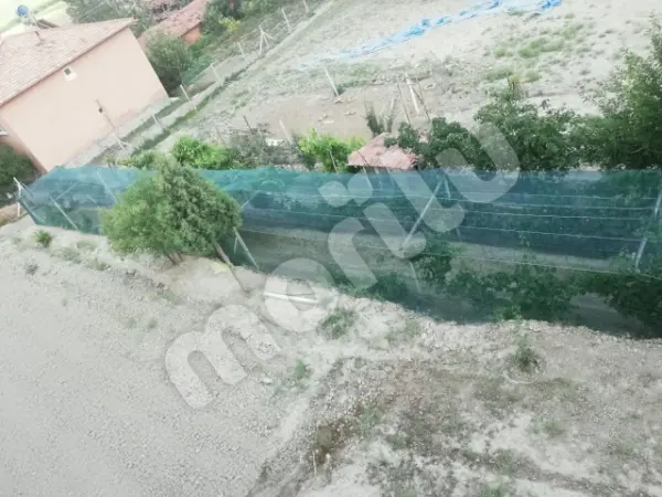 Sera - Bitki ve Hayvan Gölgeliği - 40lık Gölgeleme - Yeşil - Görsel 4