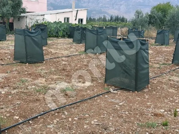 Sera - Bitki ve Hayvan Gölgeliği - 75lik Gölgeleme - Yeşil - Görsel 5