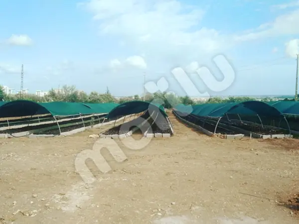 Sera - Bitki ve Hayvan Gölgeliği - 95lik 120 gram/m2 - Yeşil - Görsel 3