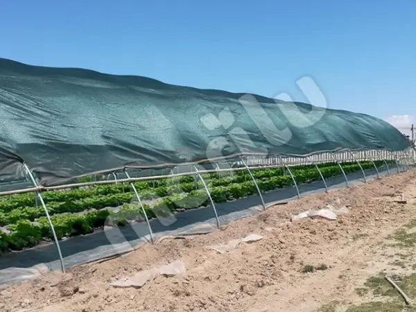 Sera - Bitki ve Hayvan Gölgeliği - 95lik 120 gram/m2 - Yeşil - Görsel 4