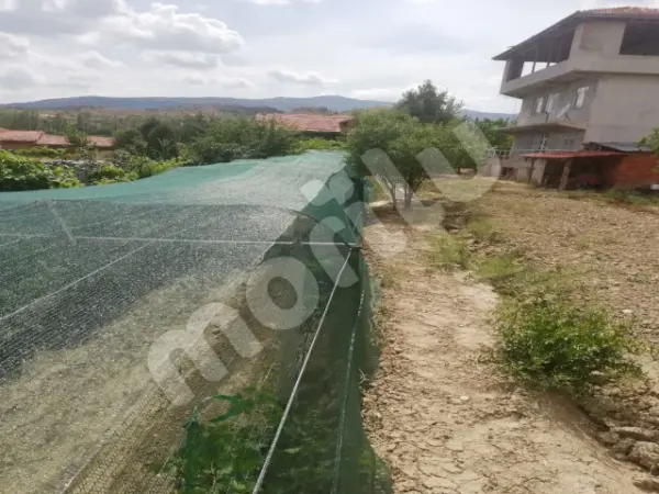 Sera - Bitki ve Hayvan Gölgeliği - 40lık Gölgeleme - Yeşil - Görsel 3