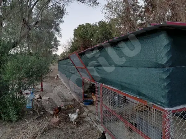 Sera - Bitki ve Hayvan Gölgeliği - 95lik 140 gram/m2 - Yeşil - Görsel 2