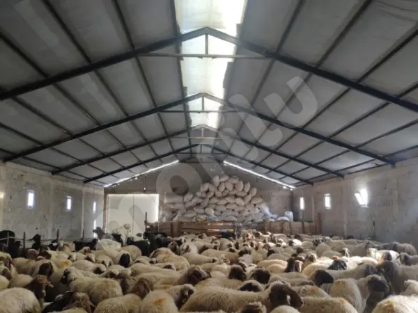 Sera - Bitki ve Hayvan Gölgeliği - 95lik 140 gram/m2 - Gri