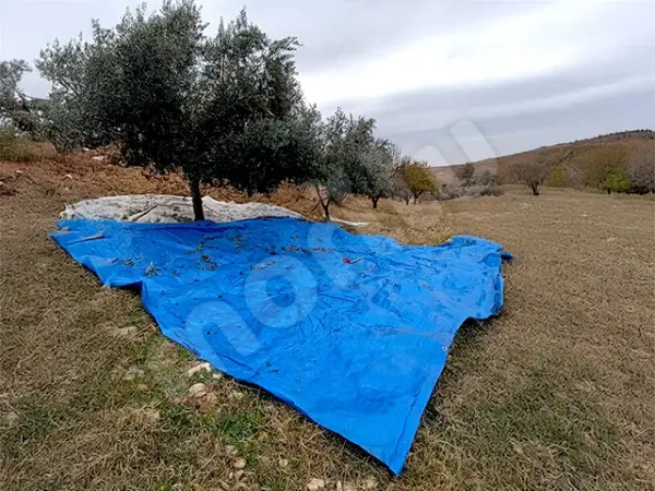 Ürün Serme ve Kurutma Brandası - Mavi