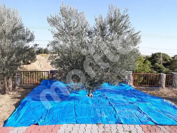 Ürün Serme ve Kurutma Brandası - Mavi - Görsel 4