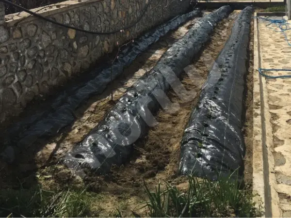 Yabani Ot ve Sera Taban Örtüsü - Siyah - Görsel 2