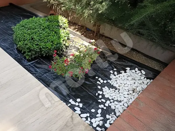Yabani Ot ve Sera Taban Örtüsü - Siyah - Görsel 5