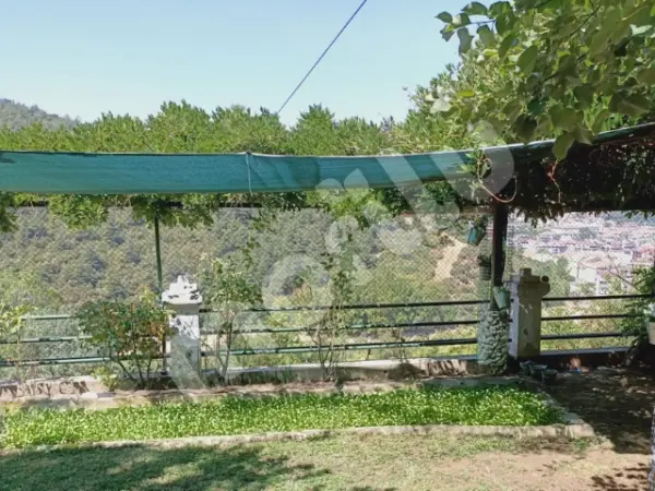 Sera - Bitki ve Hayvan Gölgeliği - 95lik 140 gram/m2 - Yeşil - Görsel 6