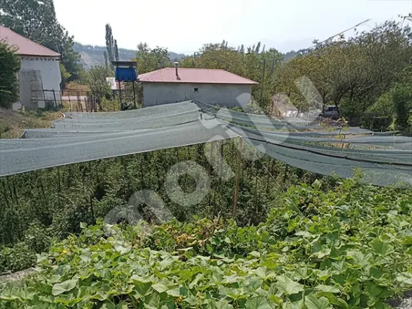 Sera - Bitki ve Hayvan Gölgeliği - 95lik 140 gram/m2 - Yeşil - Görsel 4