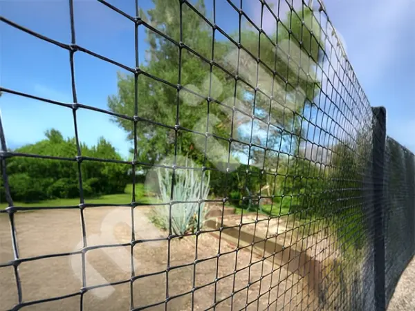 Morilu-Siyah-20mm-Duz-Plastik-Cit-1