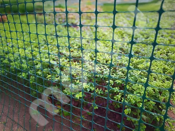 Morilu-Yesil-10mm-Duz-Plastik-Cit