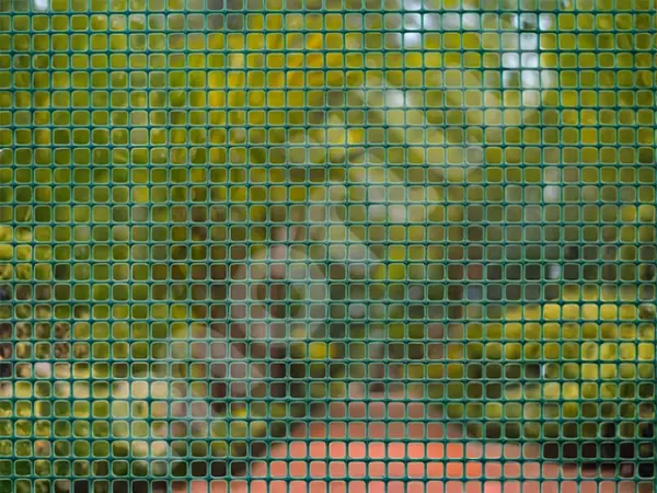 Morilu-Yesil-5mm-Duz-Plastik-Cit-1